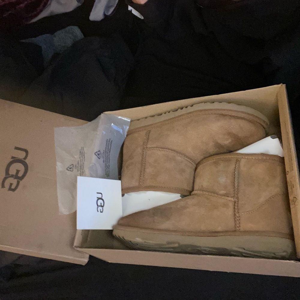 Chestnut uggs